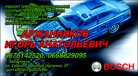 Автомастер Игорь Анатольевич