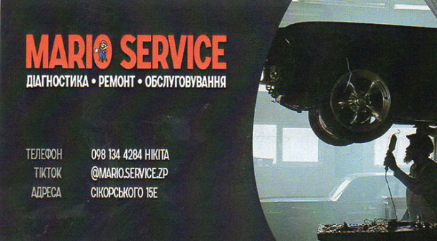 Mario service
