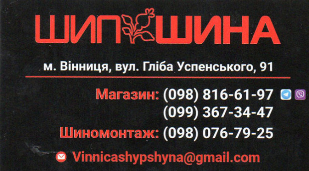 Шип Шина